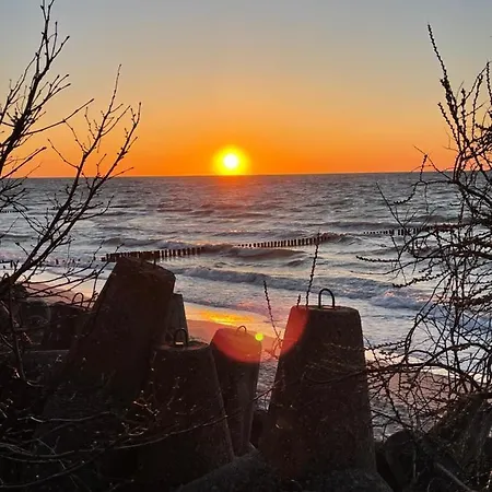 White 211 מיילנו