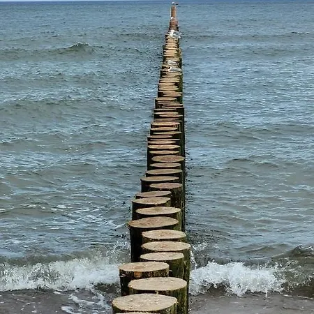 White 211 דירה *